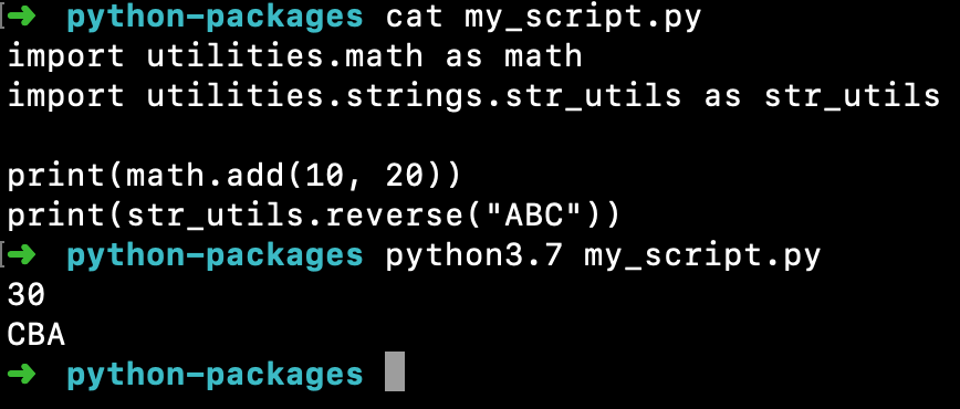 在 Python 中导入包模块